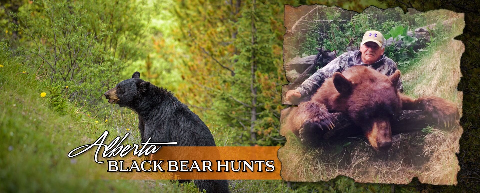 Alberta Black Bear Hunts Banner