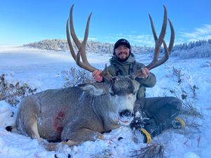 2023 Mule Deer Hunts