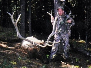 Archery Elk